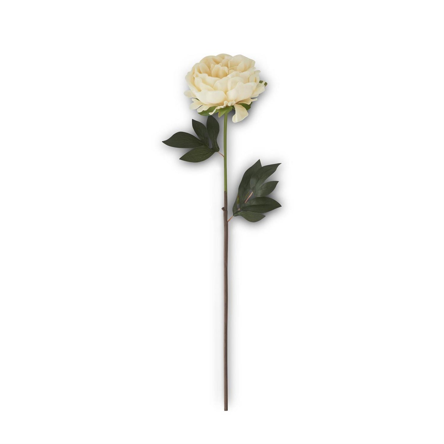 26" Real Touch Peony Stem - Cream