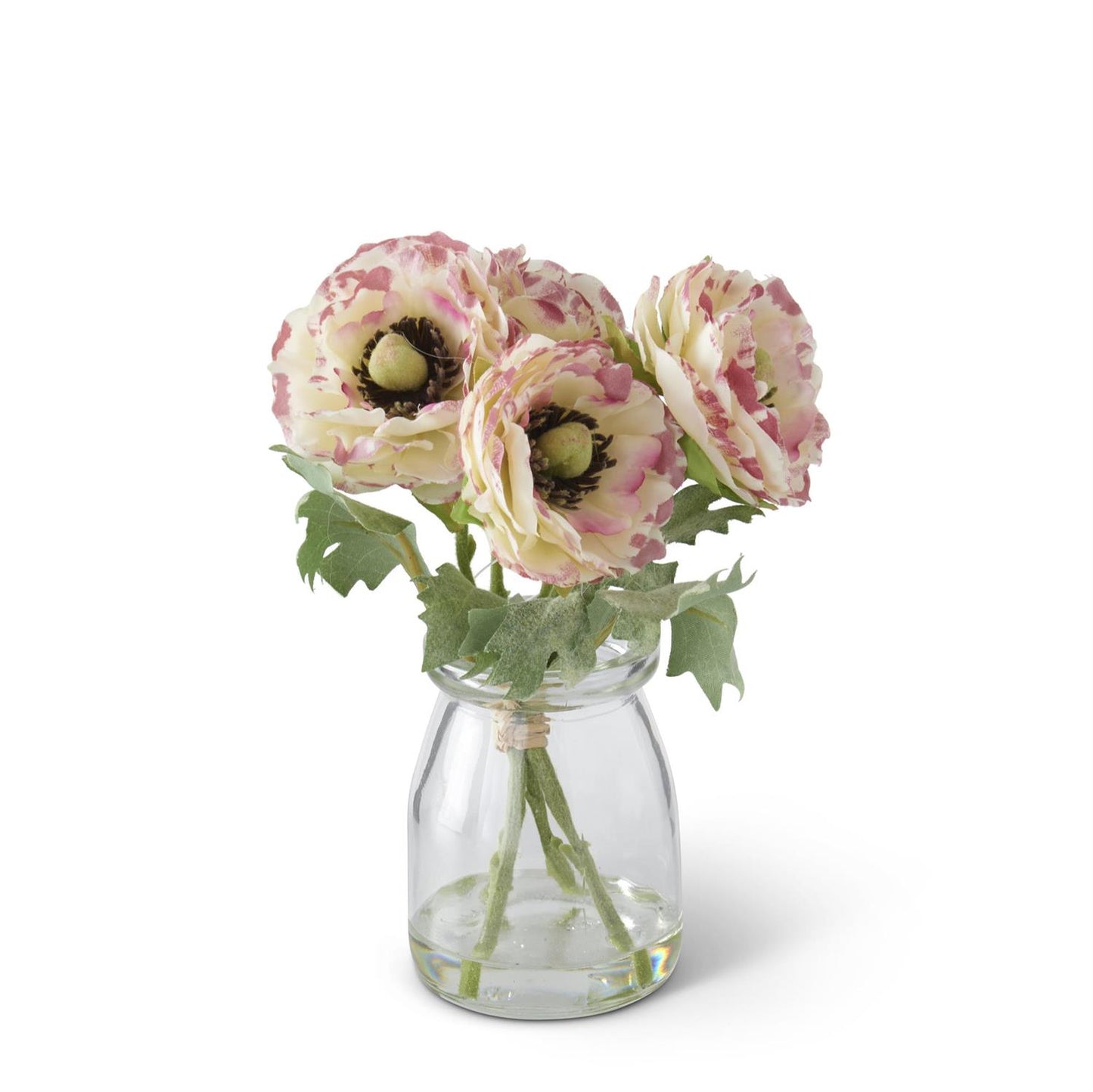 6.75" White/Pink Ranunculus Bouquet in Jar