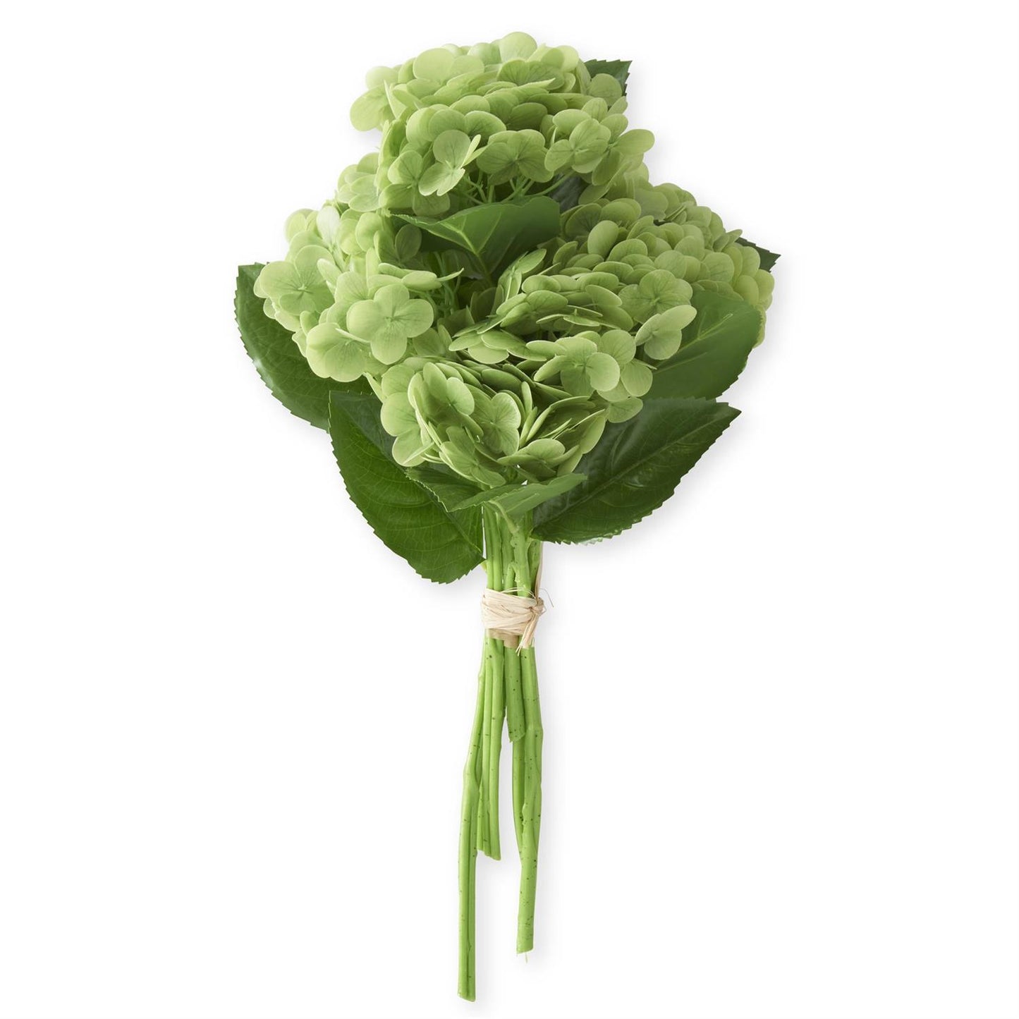 13 Inch Green Real Touch Hydrangea Bundle (6 Stems)