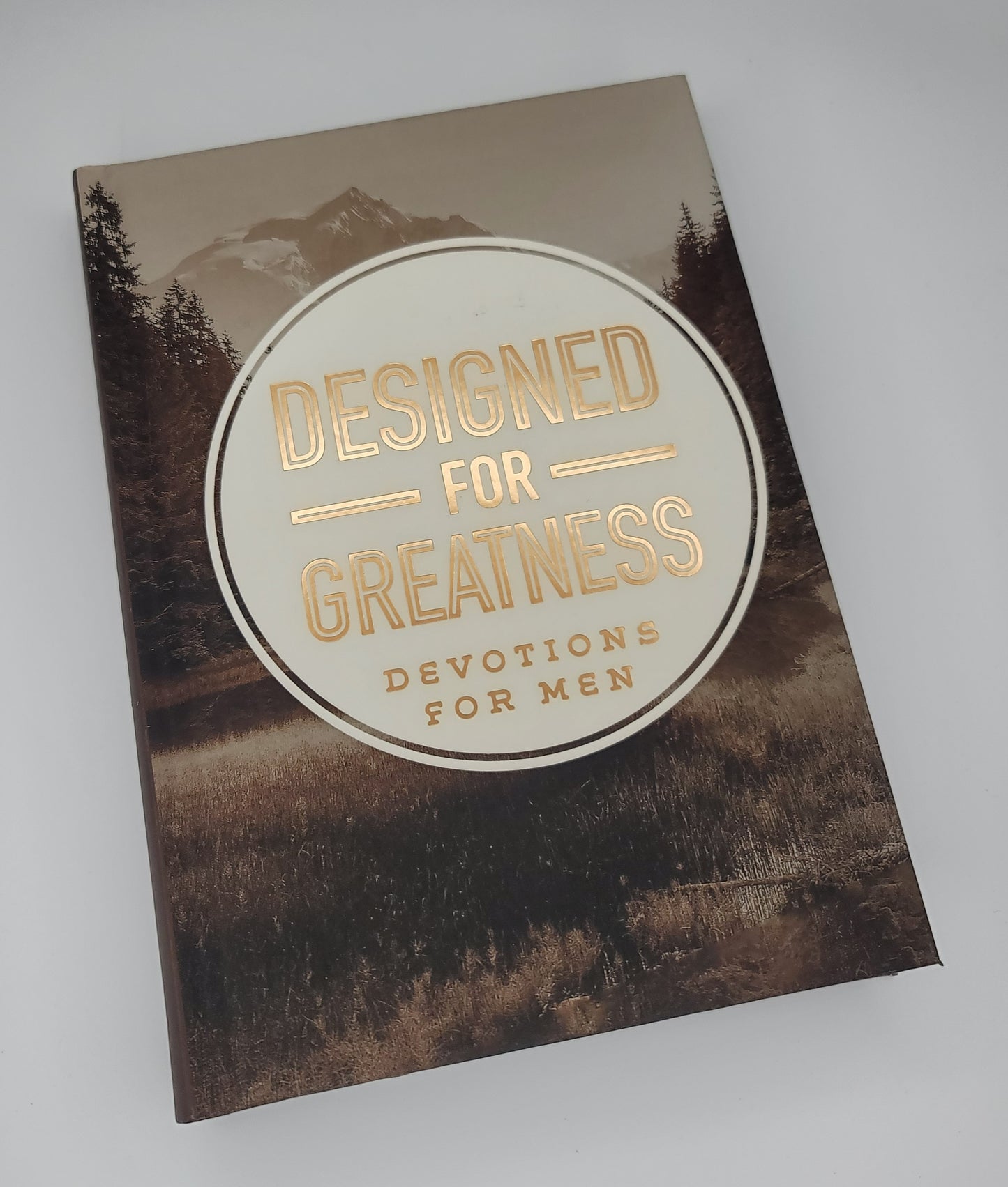 Designed for Greatness: Devotions Men