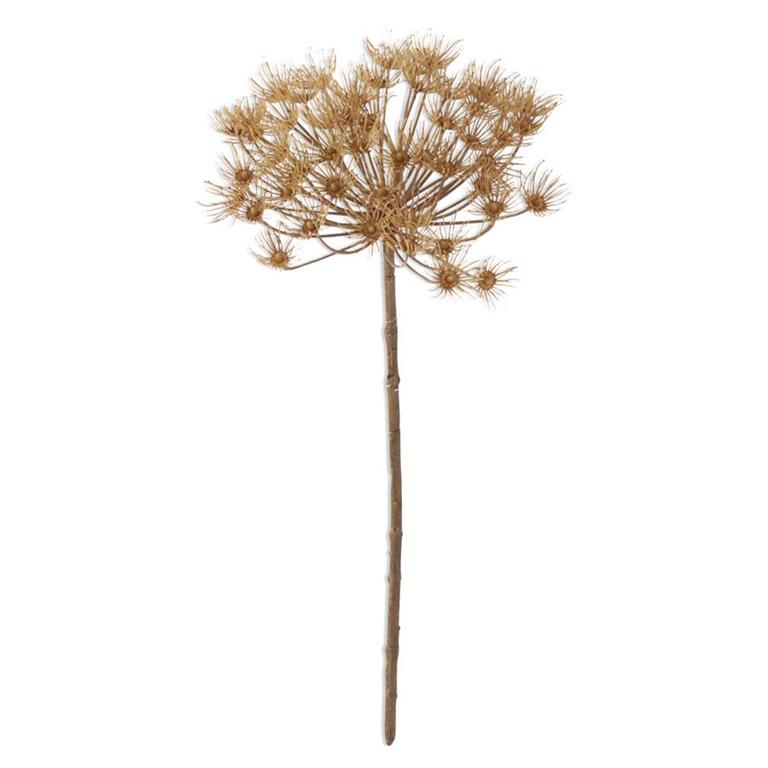 21" Tan Allium Stem