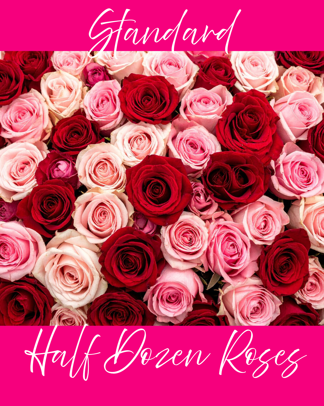 Standard Half Dozen Roses