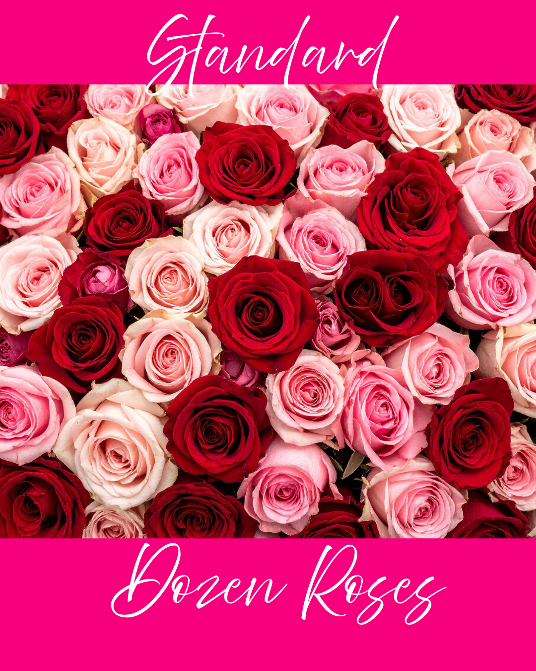 Standard Dozen Roses