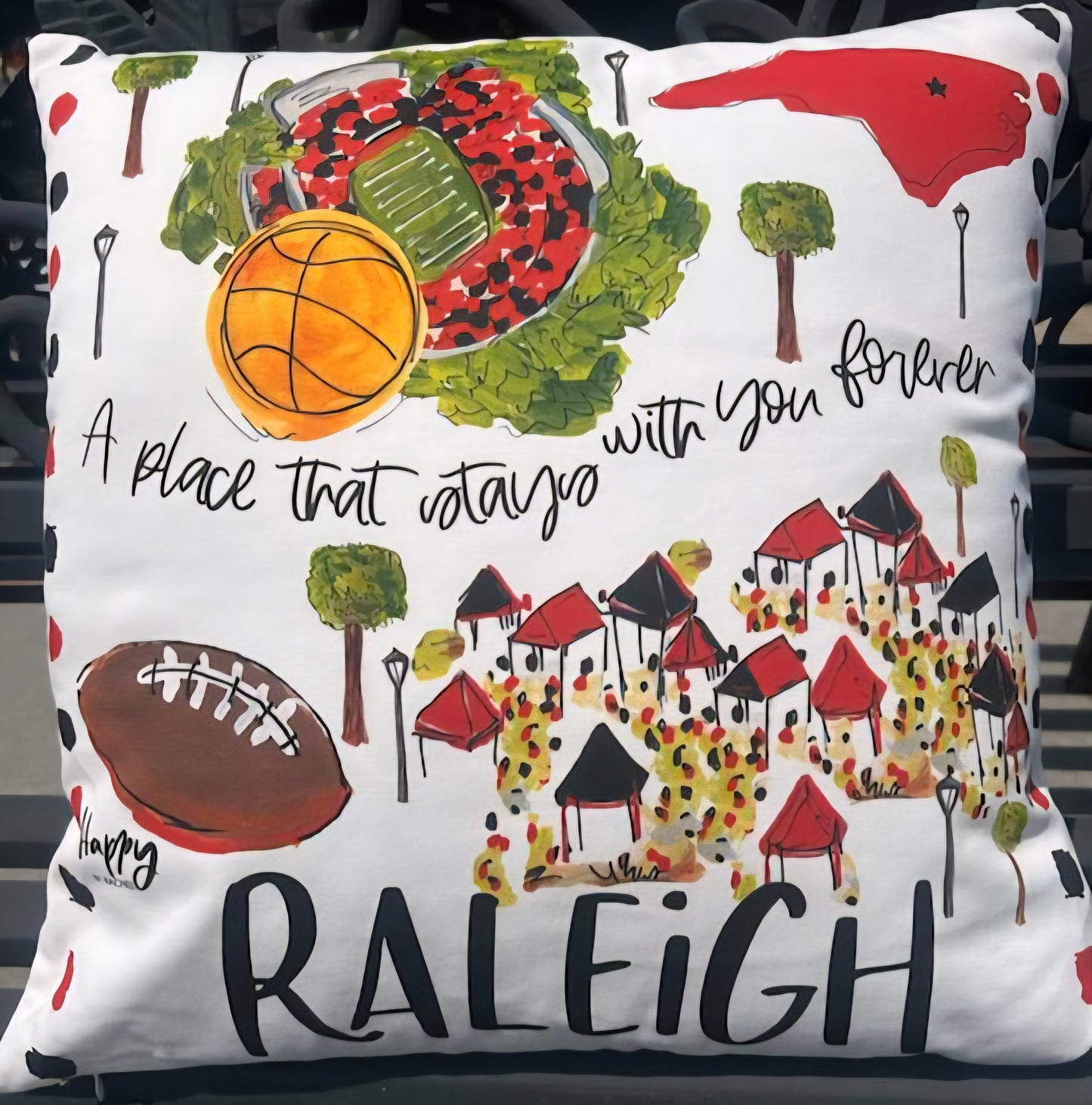 Raleigh College Town Pillow