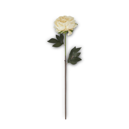 26" Real Touch Peony Stem - Cream