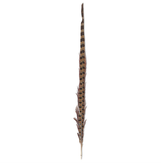 16-18" Ring Neck Feather