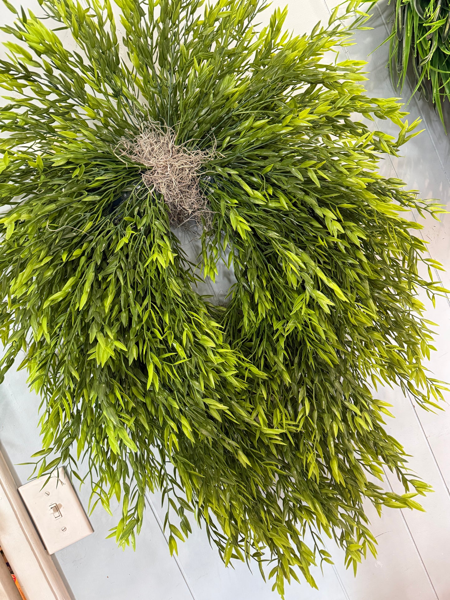 Ruscus Wreath