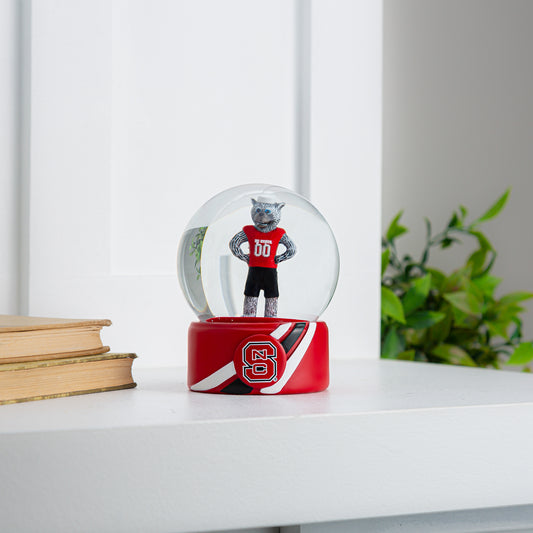 Water Globe NCSU