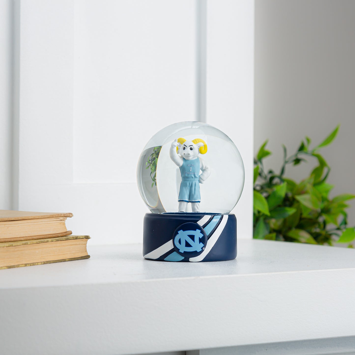 Water Globe UNC