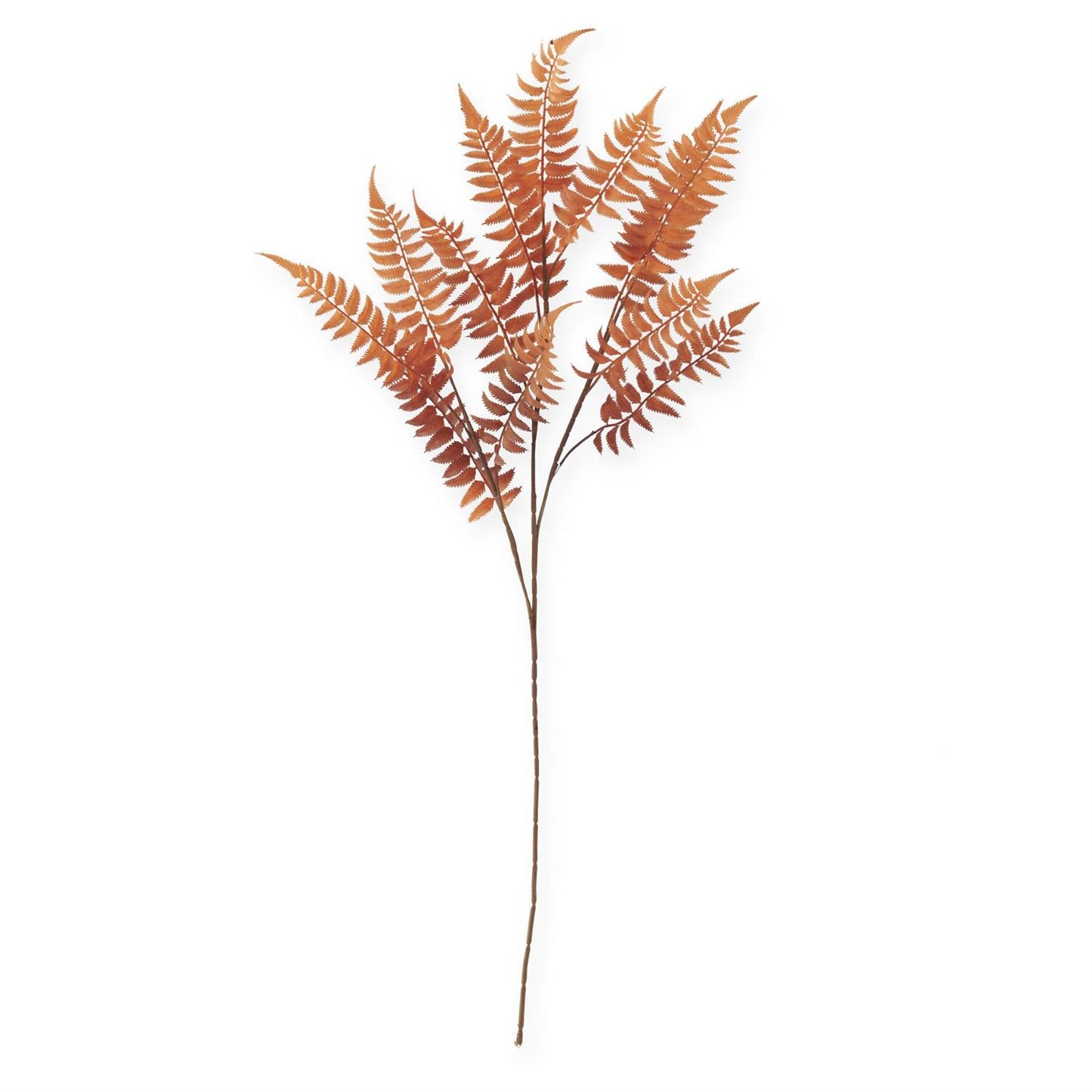 39" Orange w/ Brown Speckles Lady Fern Spray