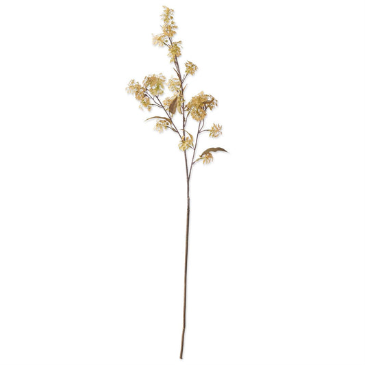 35" Yellow Elderberry Stem
