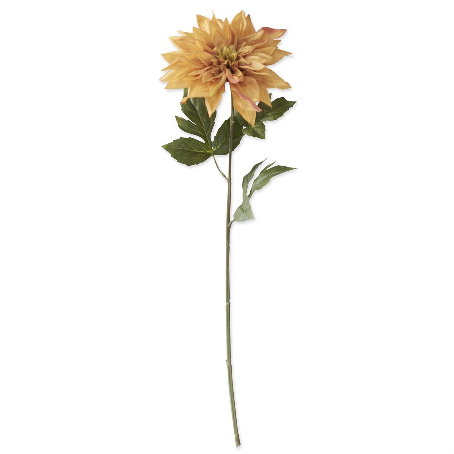 26" Yellow w/ Pink Dahlia Stem
