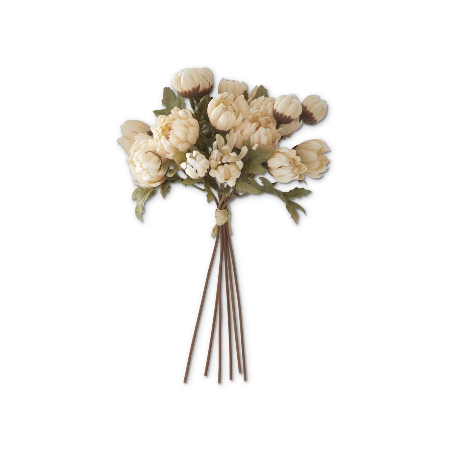 10" Cream Dahlia Bundle (6 Stems)
