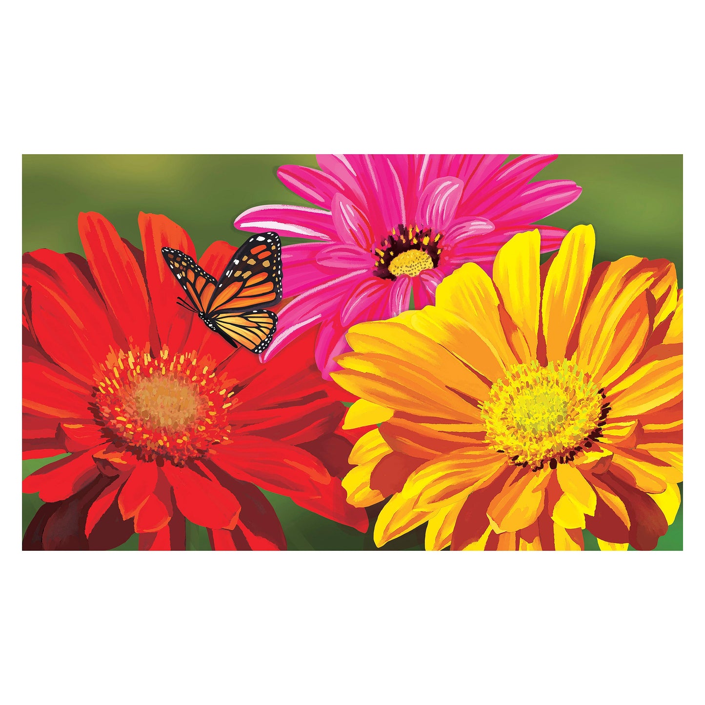 Estate Sassafras - Giant Gerbera