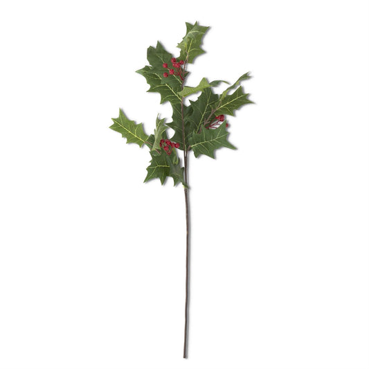 30 Inch Holly w/Red Berry Stem