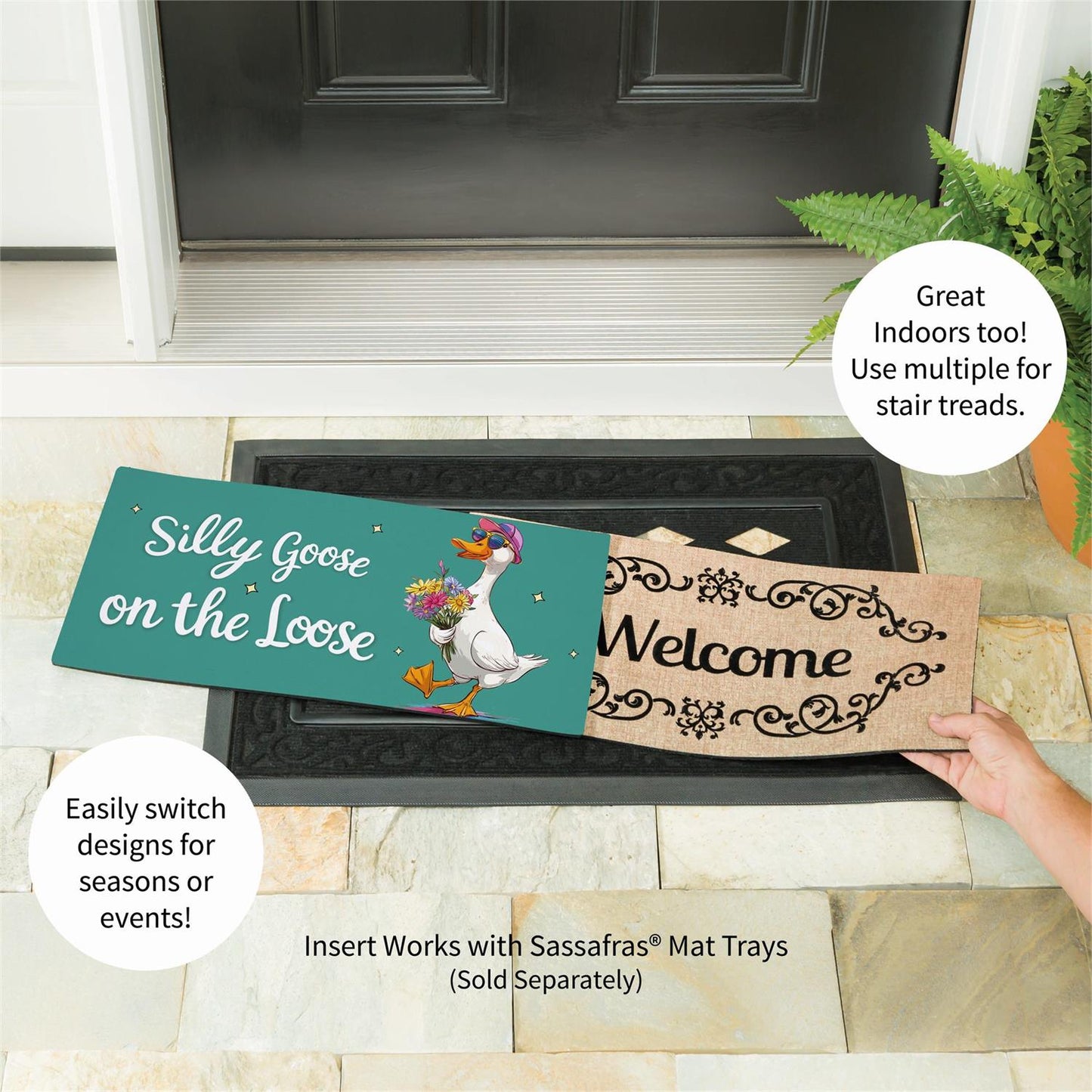 Sassafras Insert - Silly Goose on the Loose