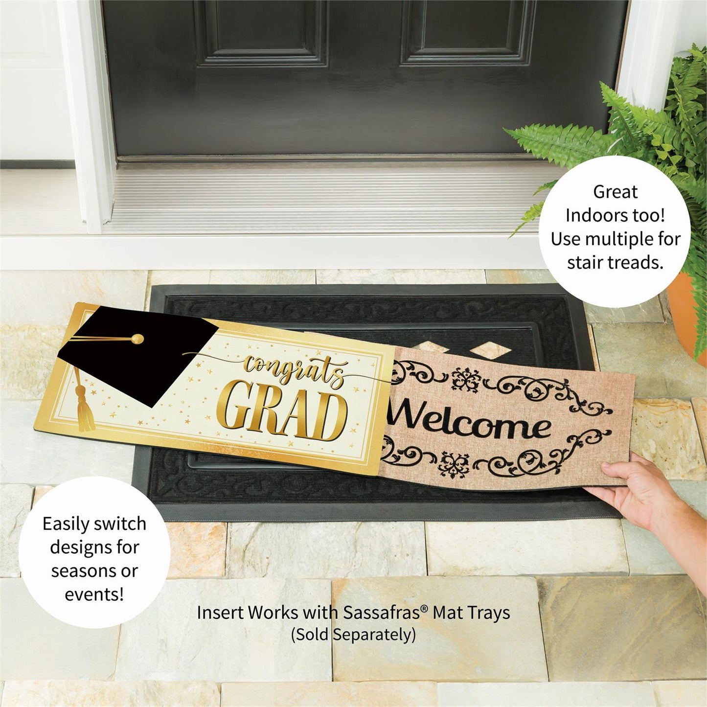 Sassafras Insert - Graduation