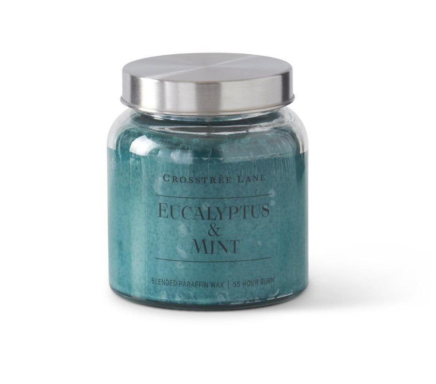 11oz Eucalyptus & Mint Candle