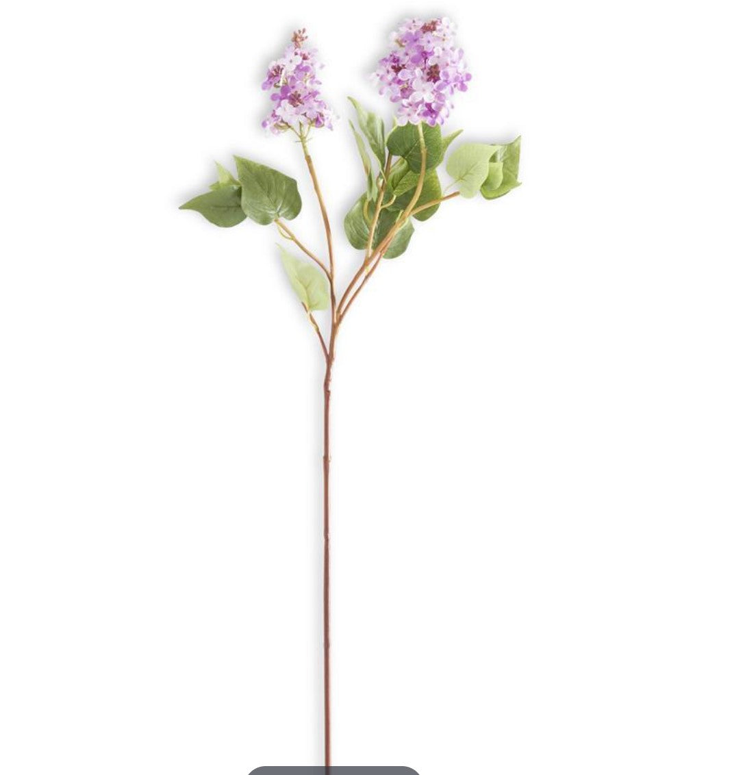 35" Light Lilac Purple Stem