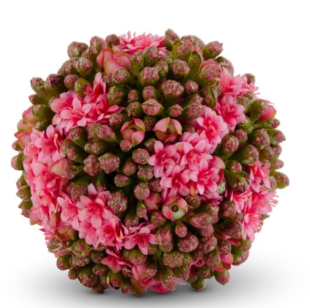 4" Pink Kalanchoe Ball