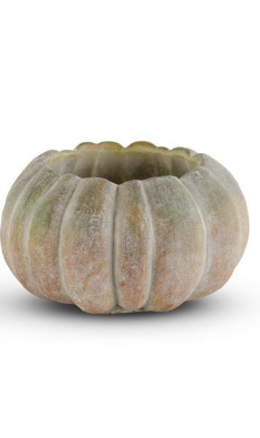 6" Whitewashed Org/Green Cement Pumpkin