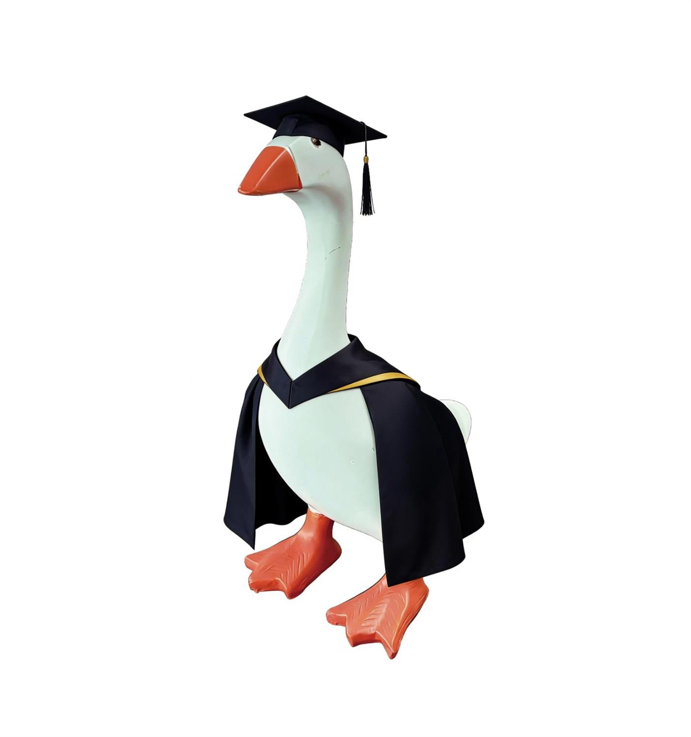 Gordy Goose - Graduation Set
