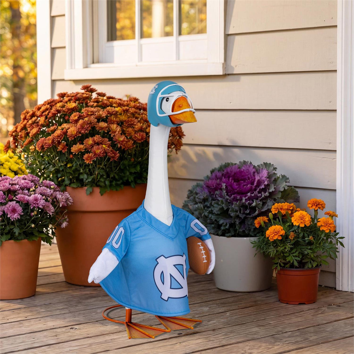 UNC Sports Goose Outfit