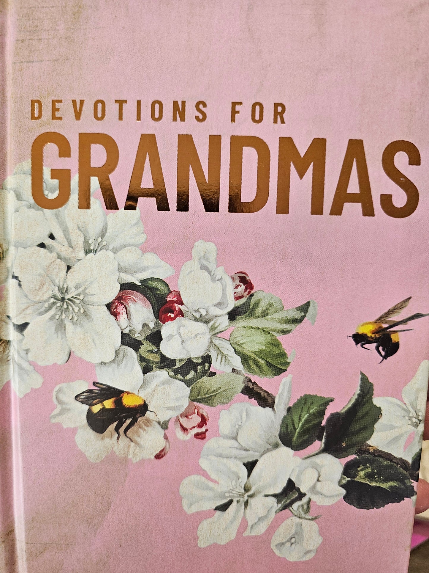 Devotions for Grandmas