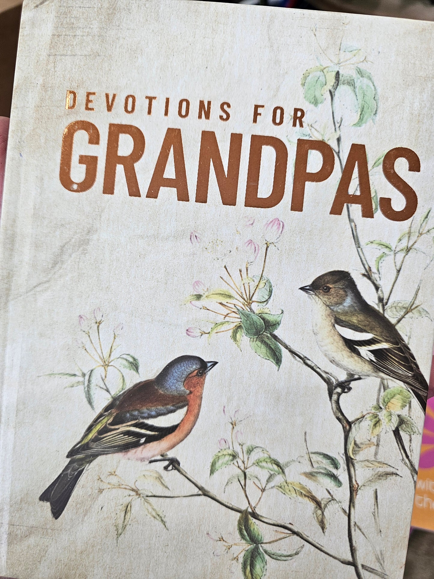Devotions for Grandpas